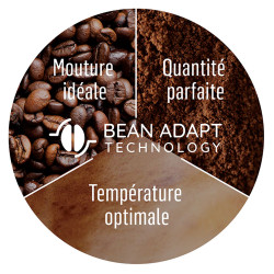 Technologie Bean Adapt