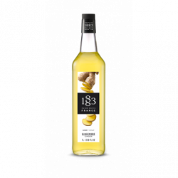 Sirop Routin 1883 Gingembre 1L