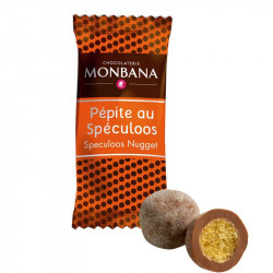 Pépites au speculoos par Monbana (x200)