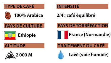 Fiche café Jimma