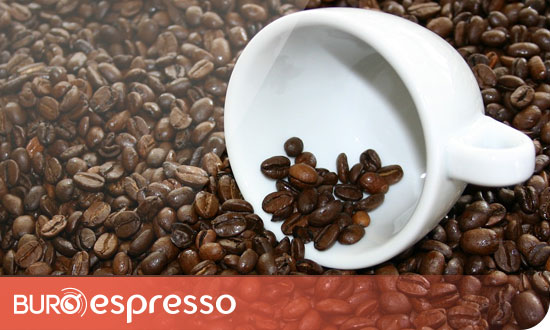 Le café en grain