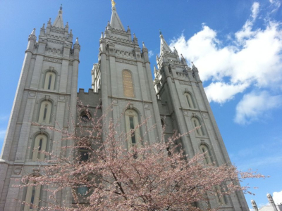 Les Mormons et le café